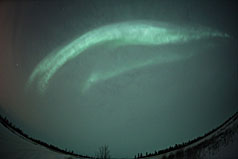 20120216 20120216