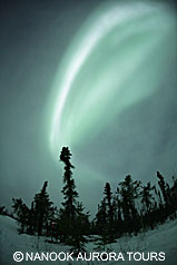 20120223 20120223