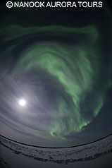 20120303 20120303