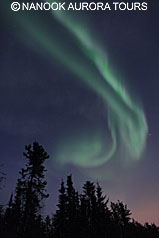 20120305 20120305
