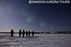 20120307 20120307