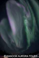 20120312 20120312