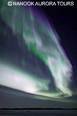 20120315 20120315