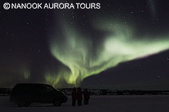 Light with Tour Van Light with Tour Van