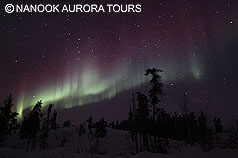 red curtain aurora red curtain aurora