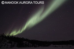 aurora arch