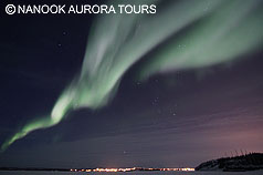 aurora aurora